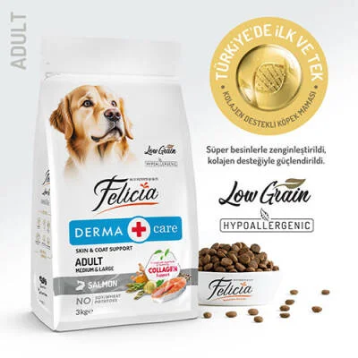 Northcity Hypoallergenic Somonlu Düşük Tahıllı Yetişkin Köpek Maması 3 Kg - Hassas Sindirim İçin Taze Somon