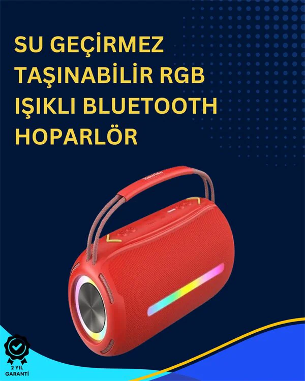 Northcity İki Mikrofonlu Renkli LED Işıklı Karaoke Cihazı - Taşın