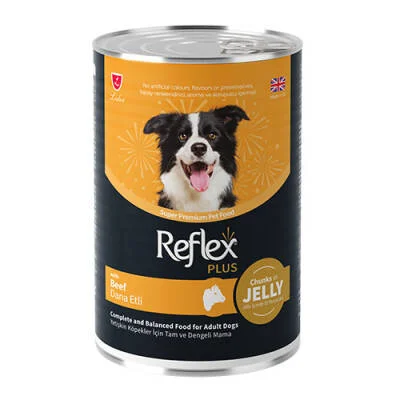 Northcity Jöle İçinde Et Parçacıklı Dana Etli Yetişkin Köpek Konservesi 400 Gr - Lezzetli ve Sağlıklı Paket