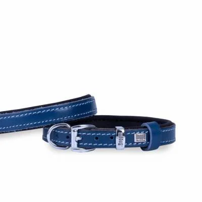 Northcity Konfor Deri Köpek Boyun Tasması Royalblue 30 Cm