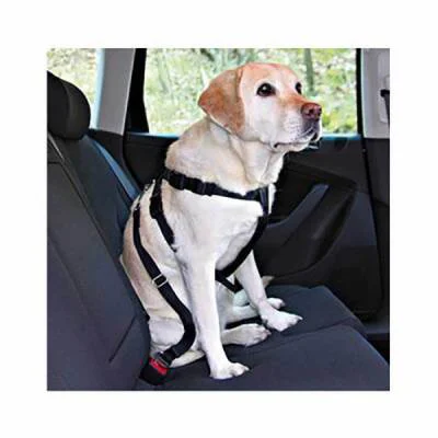 Northcity Köpek Emniyet Kemeri Medium 50-70 Cm - Rahatlık ve Güve