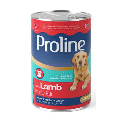 Northcity Kuzu Etli Gravy Yetişkin Köpek Konservesi 400 Gr - Lezzetli ve Doğal Protein Kaynağı