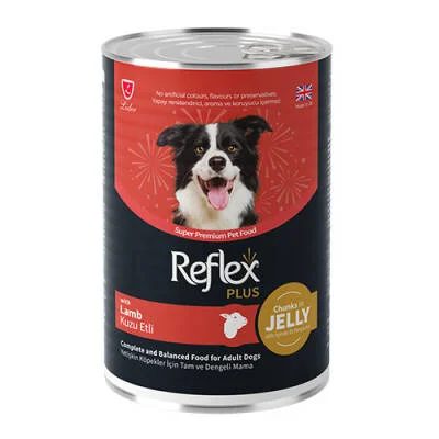 Northcity Kuzu Etli Yetişkin Köpek Maması 400 Gr - Jöle İçinde Et Parçacıklı Lezzetli Konservesi