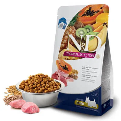 Northcity Kuzu Etli ve Tropikal Meyveli Mini Irk Yetişkin Köpek Maması 5 Kg