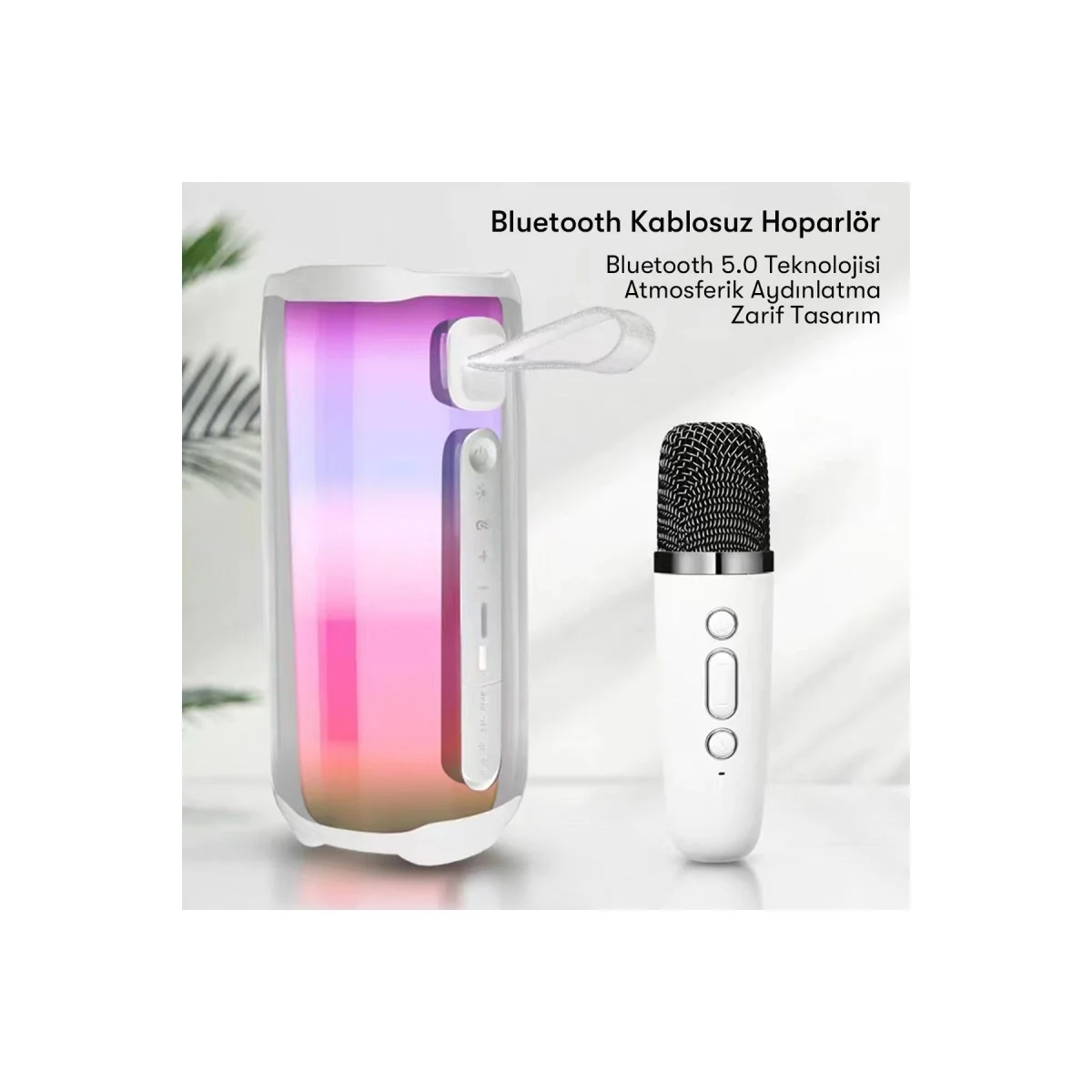 Northcity Pluse 5 Mikrofonlu RGB Kablosuz Hoparlör - Siyah