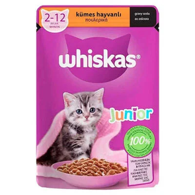 Northcity Pouch Soslu Yavru Kedi Konservesi 85 Gr - Kuş Etli ve Besleyici Beslenme