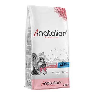 Northcity Premium Somonlu Mini Irk Yetişkin Köpek Maması 2 Kg - Beslenme Çözümü