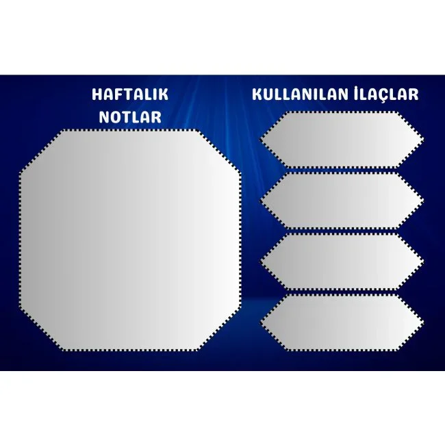 Northcity Sidir Bitkisi Özlü Doğal Cilt Bakım Kremi – 50ml Besley Northcity Sidir Bitkisi Özlü Doğal Cilt Bakım Kremi – 50ml Besley