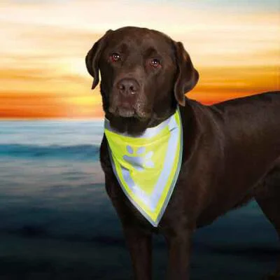 Northcity Şık Köpek Bandanası 22-28 Cm XS-S - Etkileyici Aksesuar