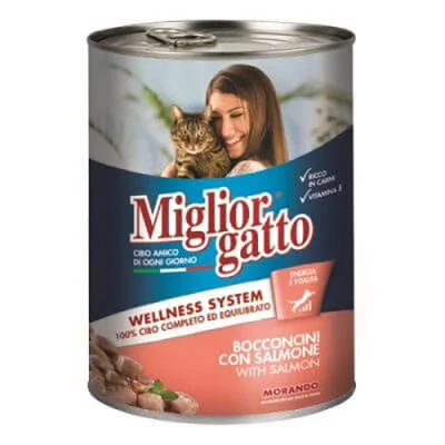 Northcity Somon Balıklı Yetişkin Kedi Maması 405 Gr - Taze Somon ve Doğal Beslenme