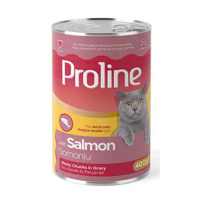 Northcity Somon Etli Sos İçinde Gravy Yetişkin Kedi Konservesi 400 Gr - %100 Taze Lezzet