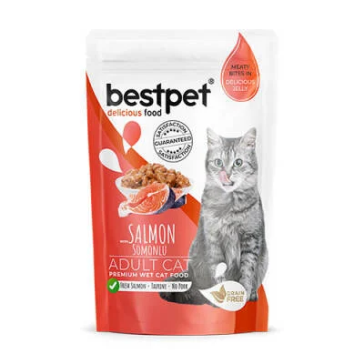 Northcity Somonlu Jelly Tahılsız Yetişkin Kedi Konservesi 85 Gr - Lezzetli ve Sağlıklı Kedi Maması