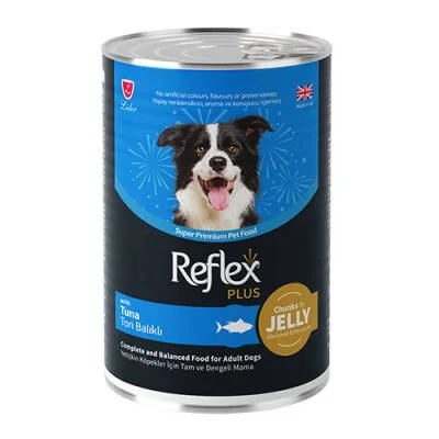 Northcity Ton Balıklı Yetişkin Köpek Maması 400 Gr - Jöle İçinde Et Parçacıklı & Besleyici Lezzet
