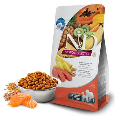 Northcity Tropikal Somonlu Yetişkin Köpek Maması 10 Kg - Orta ve Büyük Irk