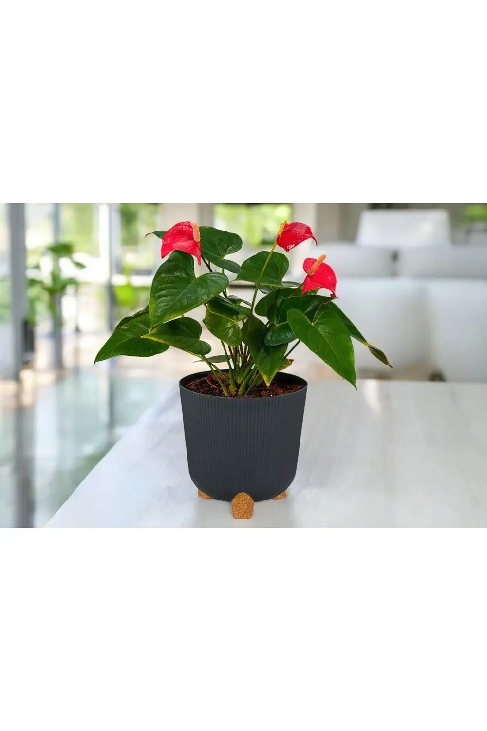 Nostalji Derin Saksı: 26 Cm (9 Litre)