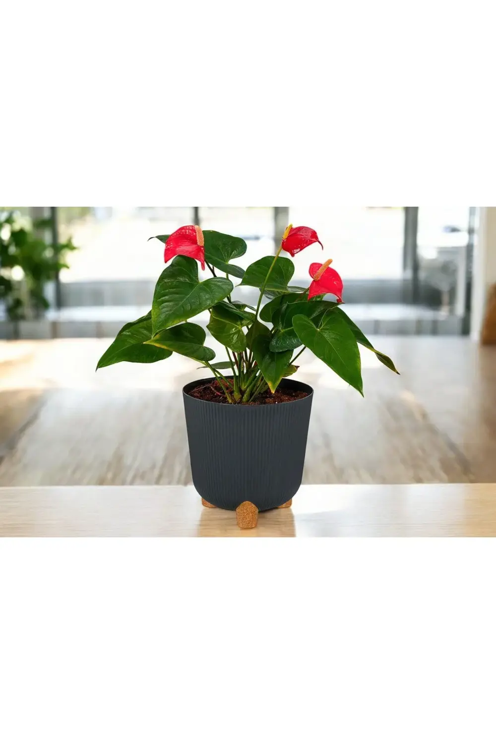 Nostalji Derin Saksı: 26 Cm (9 Litre)