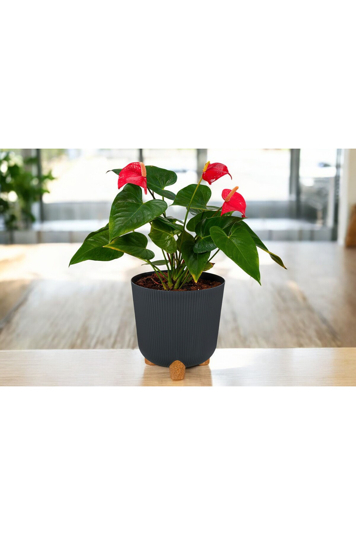 Tidy Home Nostalji Derin Saksı: 26 Cm (9 Litre)