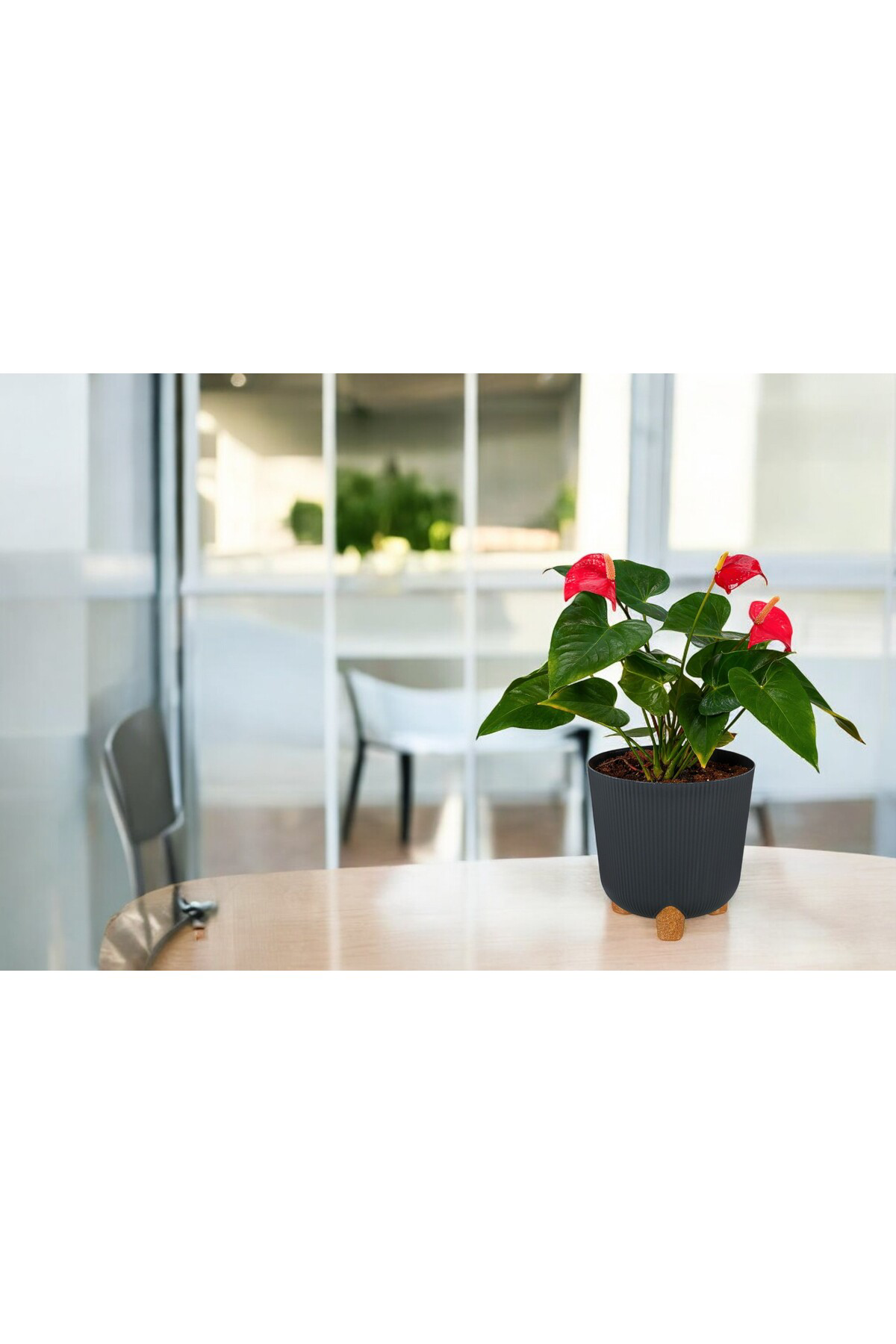 Tidy Home Nostalji Derin Saksı: 26 Cm (9 Litre)