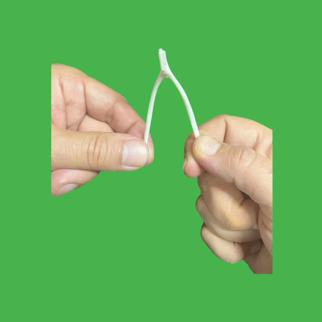Nostaljik Lades Oyuncağı ( Plastik Lades Kemiği ) Nostaljik Lades Oyuncağı ( Plastik Lades Kemiği )