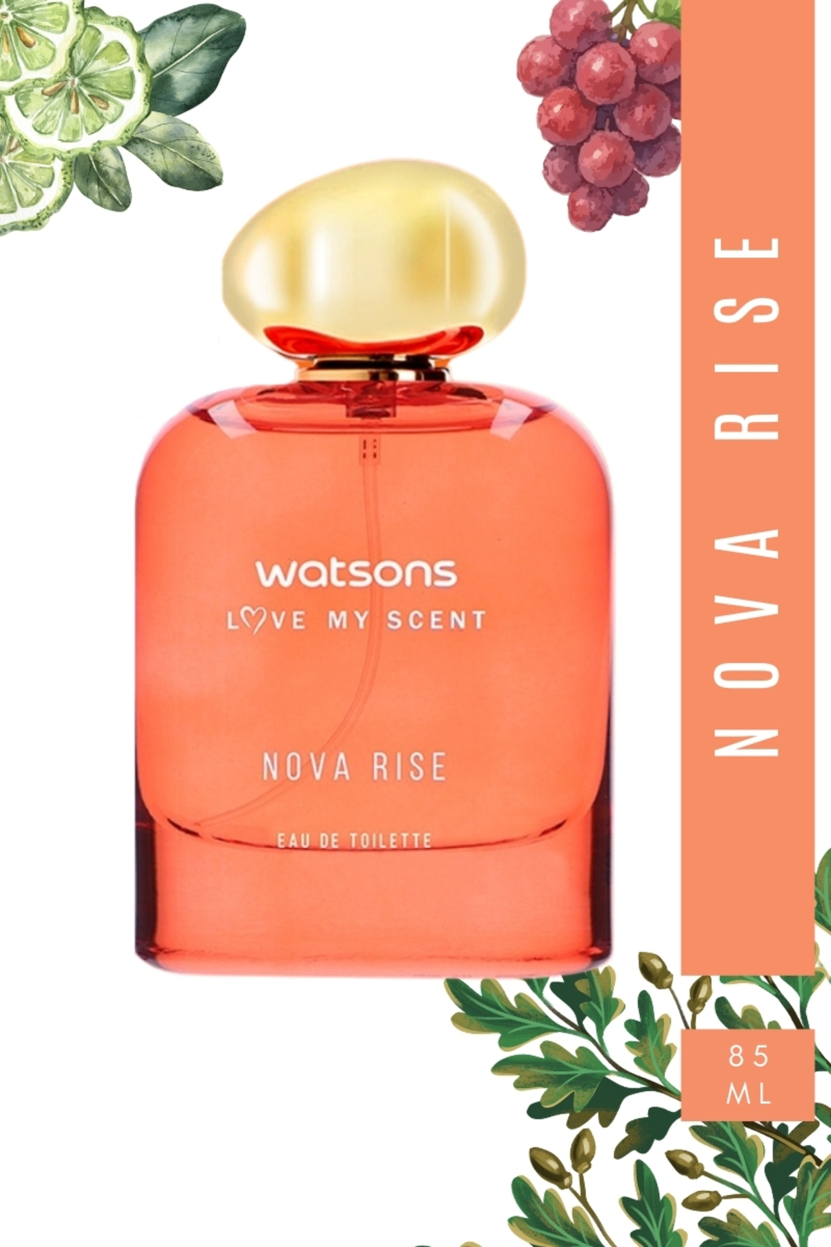 Nova Rise Kadın Parfüm Edt 85 ml Nova Rise Kadın Parfüm Edt 85 ml