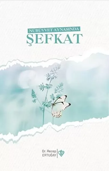 Nübüvvet Aynasında Şefkat Fiyatı, Yorumları ve Özellikleri