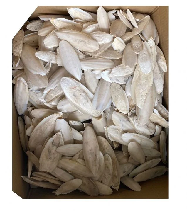 Nunbell KIRIK Mürekkep Balığı Kemiği (Kalamar) 250 Gr