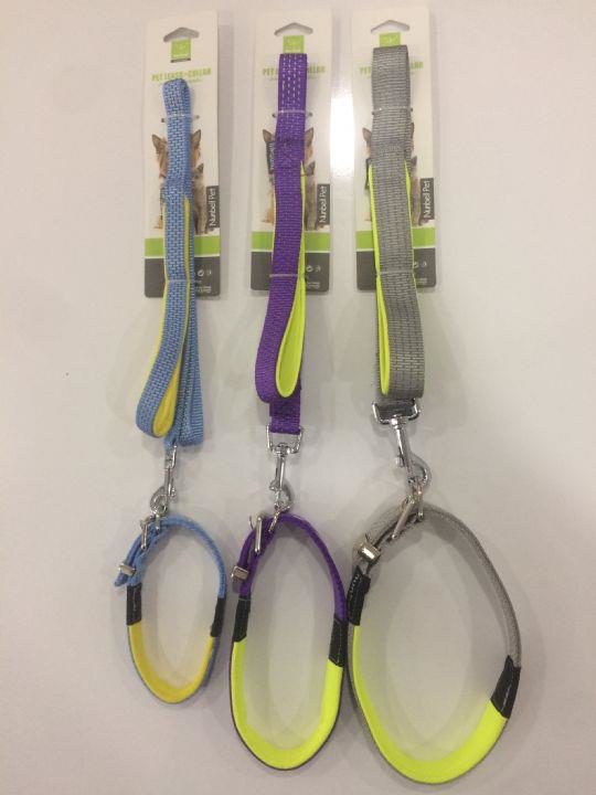 Nunbell Köpek Boyun Tasması Gezdirmeli 2 cm-120 cm