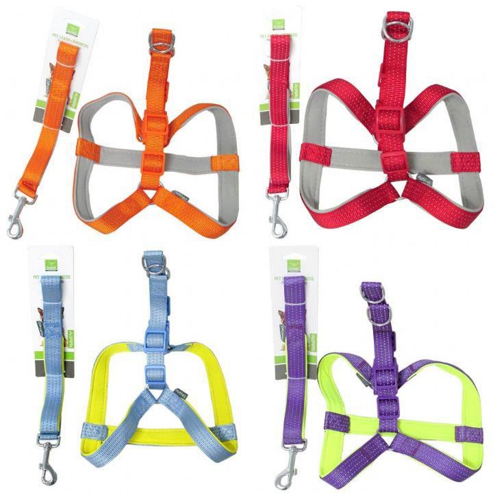 Nunbell Köpek Gögüs Tasması Gezdirmeli 2 cm-120 cm