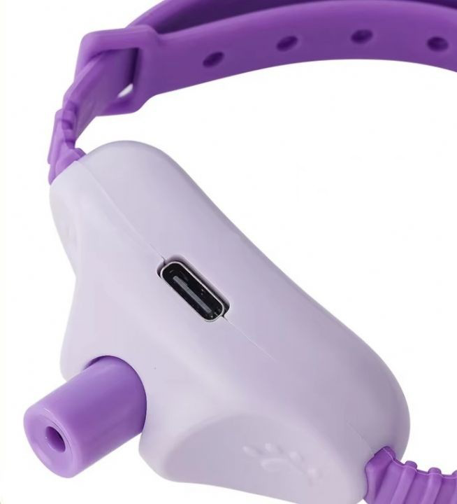 Nunbell Lazer Kedi Tasması Oyuncak