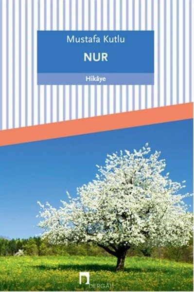 Nur Fiyatı, Yorumları ve Özellikleri