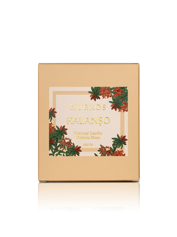 Nurxos  9685 Kalanşo Kutulu 2 Adet Kokulu Mum + Freshener Oda Spre