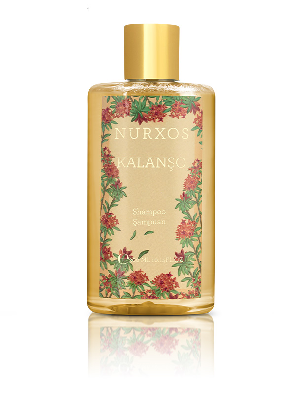 Nurxos  9859 Kalanşo 6 Parça Erkek Büyük Çanta Koleksiyonu 8681124