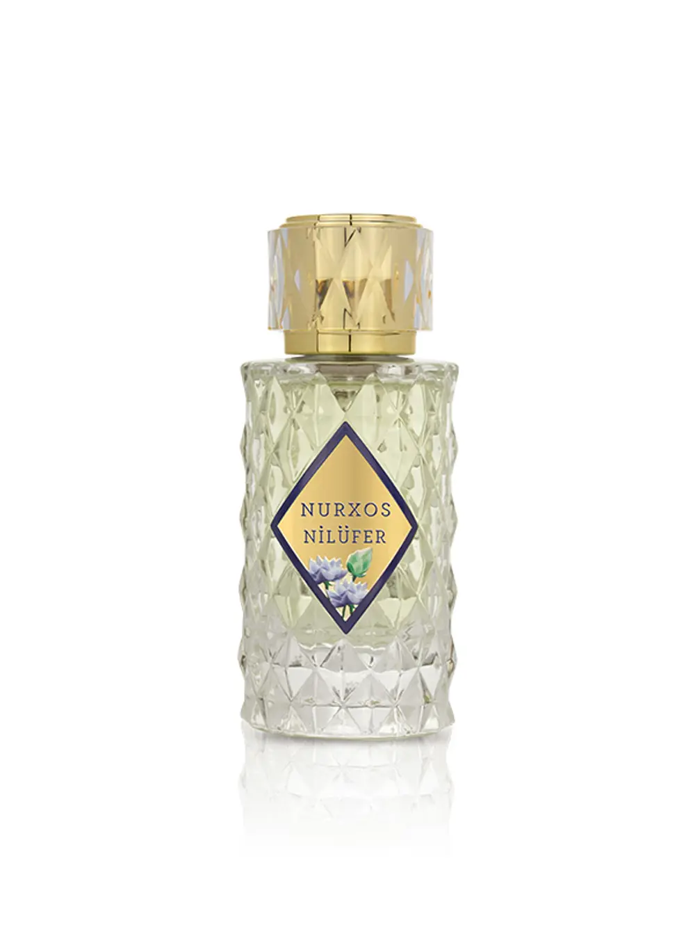 Nurxos Nilüfer Edp 65 ML – Narenciyeli Odunsu Erkek Parfümü - 971