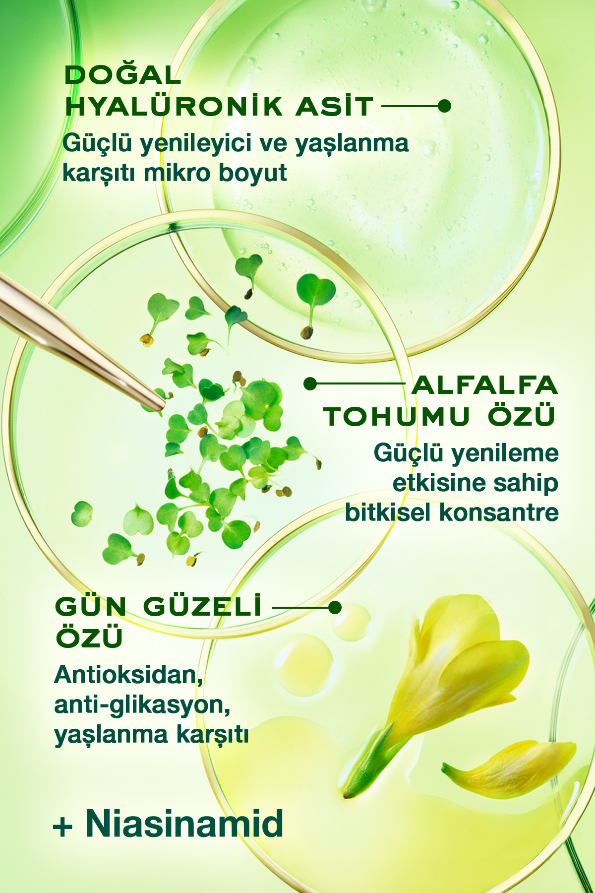 Nuxe Nuxuriance Ultra The Exceptional Day & Night Cream 75 Ml