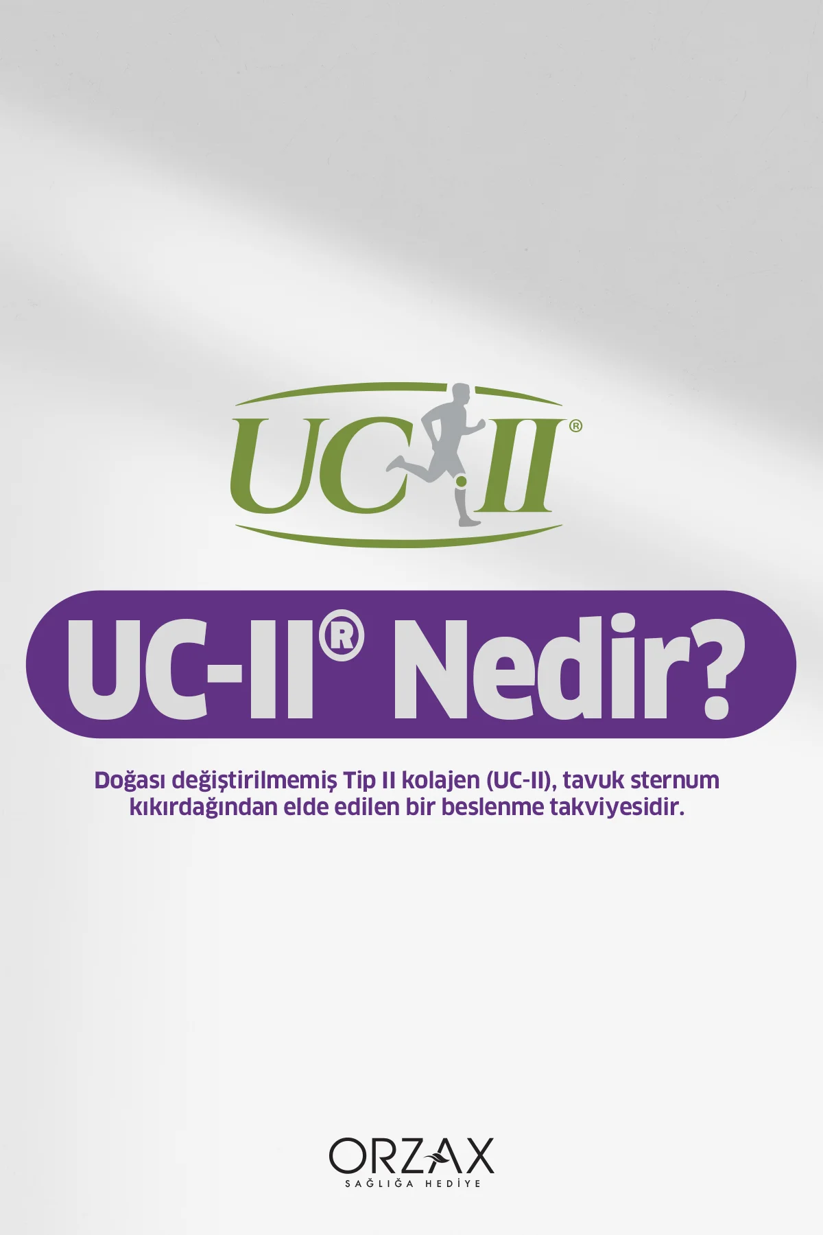 Ocean Colflex Standardize Tavuk Göğsü Kıkırdağı ( UC-II ) 30 Saşe