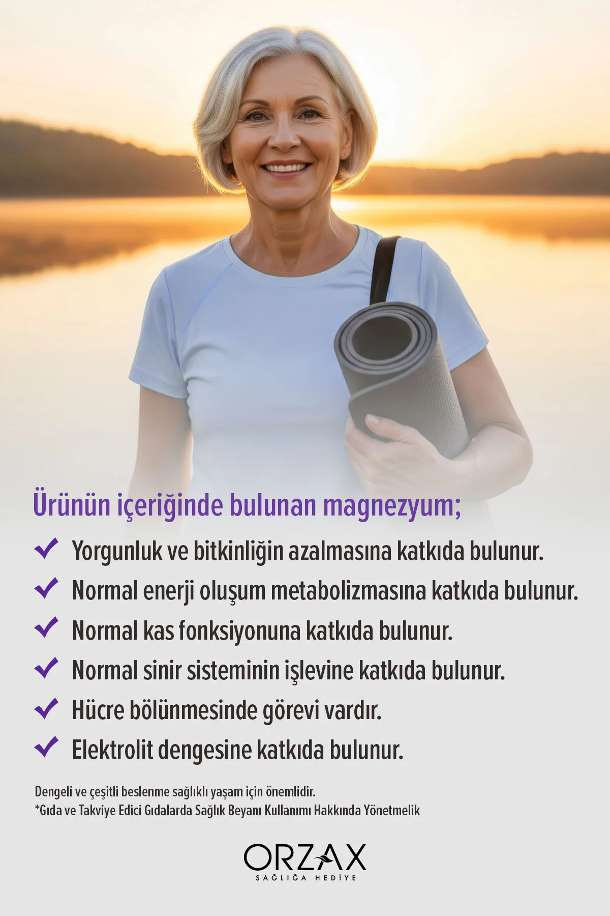 Ocean Extramag Fibra 60 Tablet