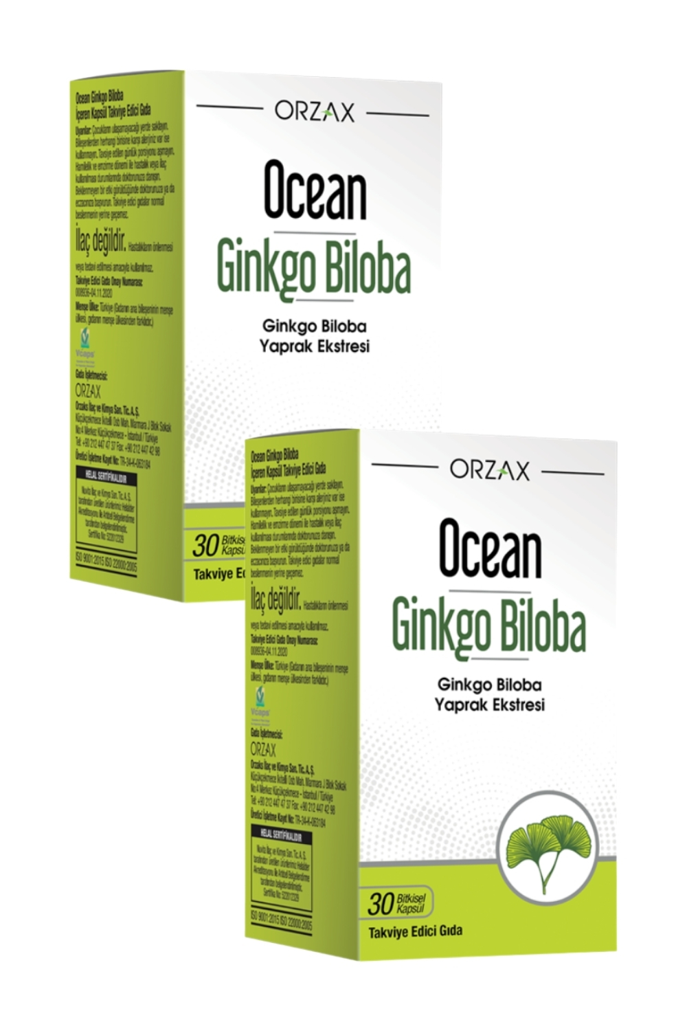 Ocean Ginkgo Biloba 30 Kapsül x 2 Adet