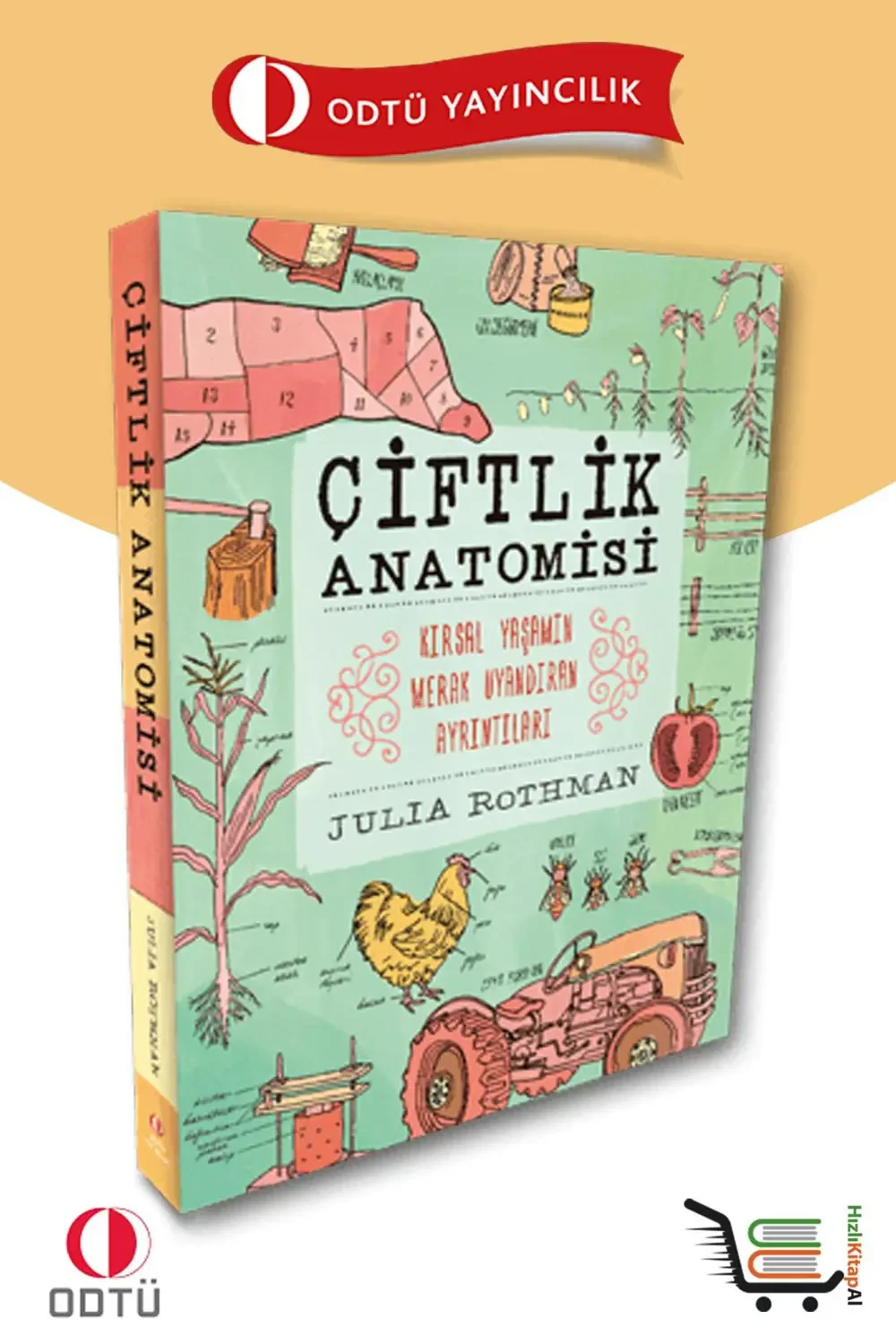 ODTÜ Çiftlik Anatomisi ODTÜ Çiftlik Anatomisi