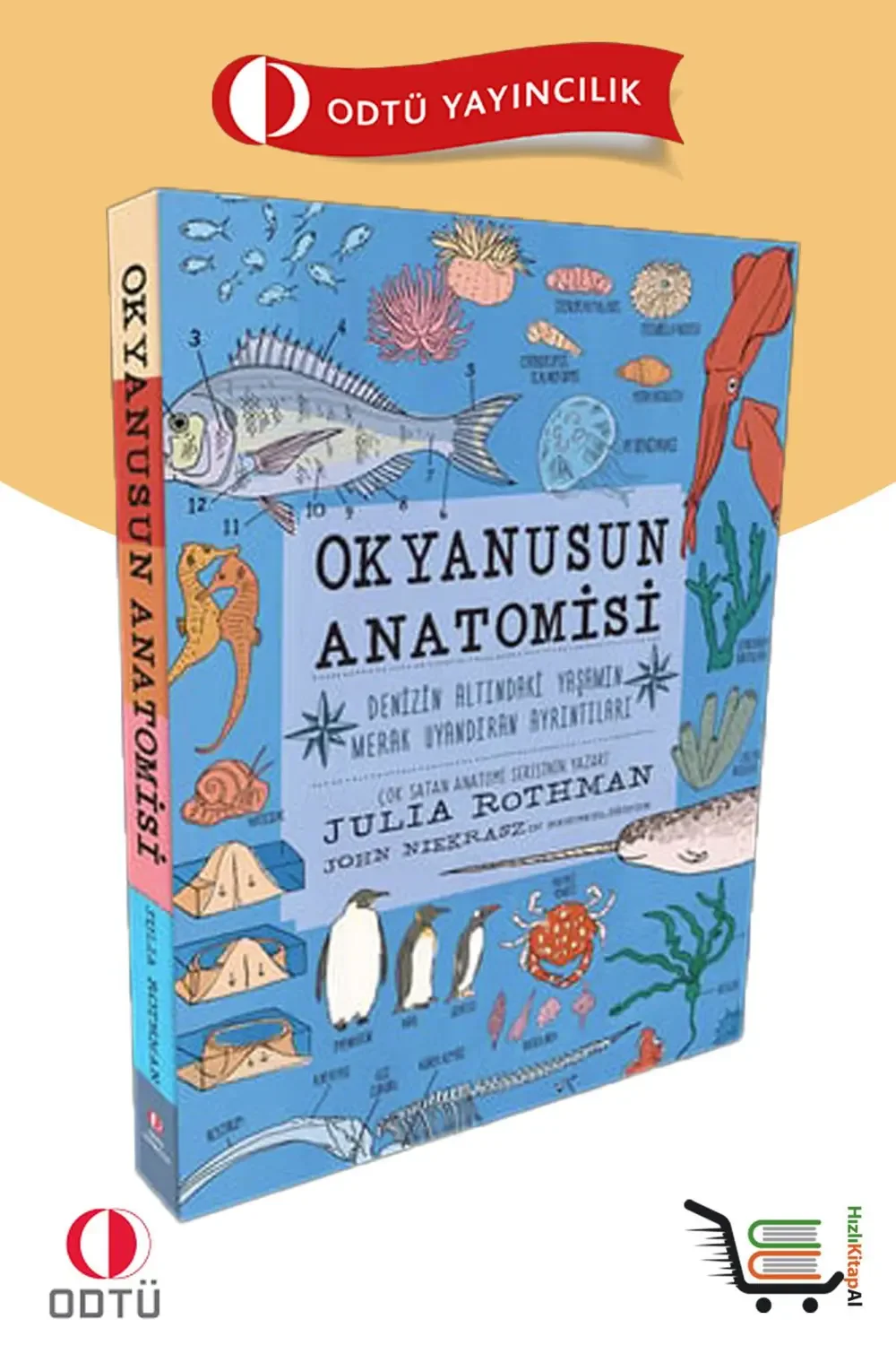 ODTÜ Okyanusun Anatomisi ODTÜ Okyanusun Anatomisi