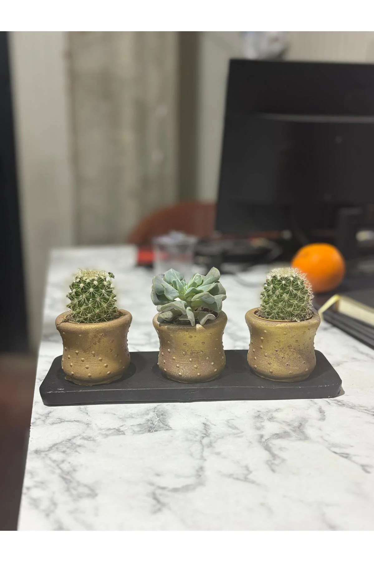 Ofis & Ev İçin en çok tercih edilen 3’lü Kaktüs Seti