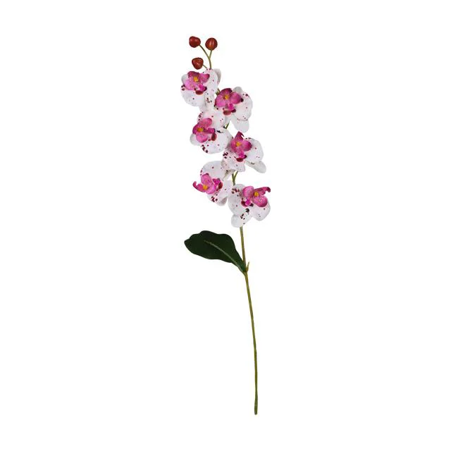 OGC-0018 62 cm Kablo - Dayanıklı ve Pratik Çözüm Fiyatı, Yorumları ve Özellikleri