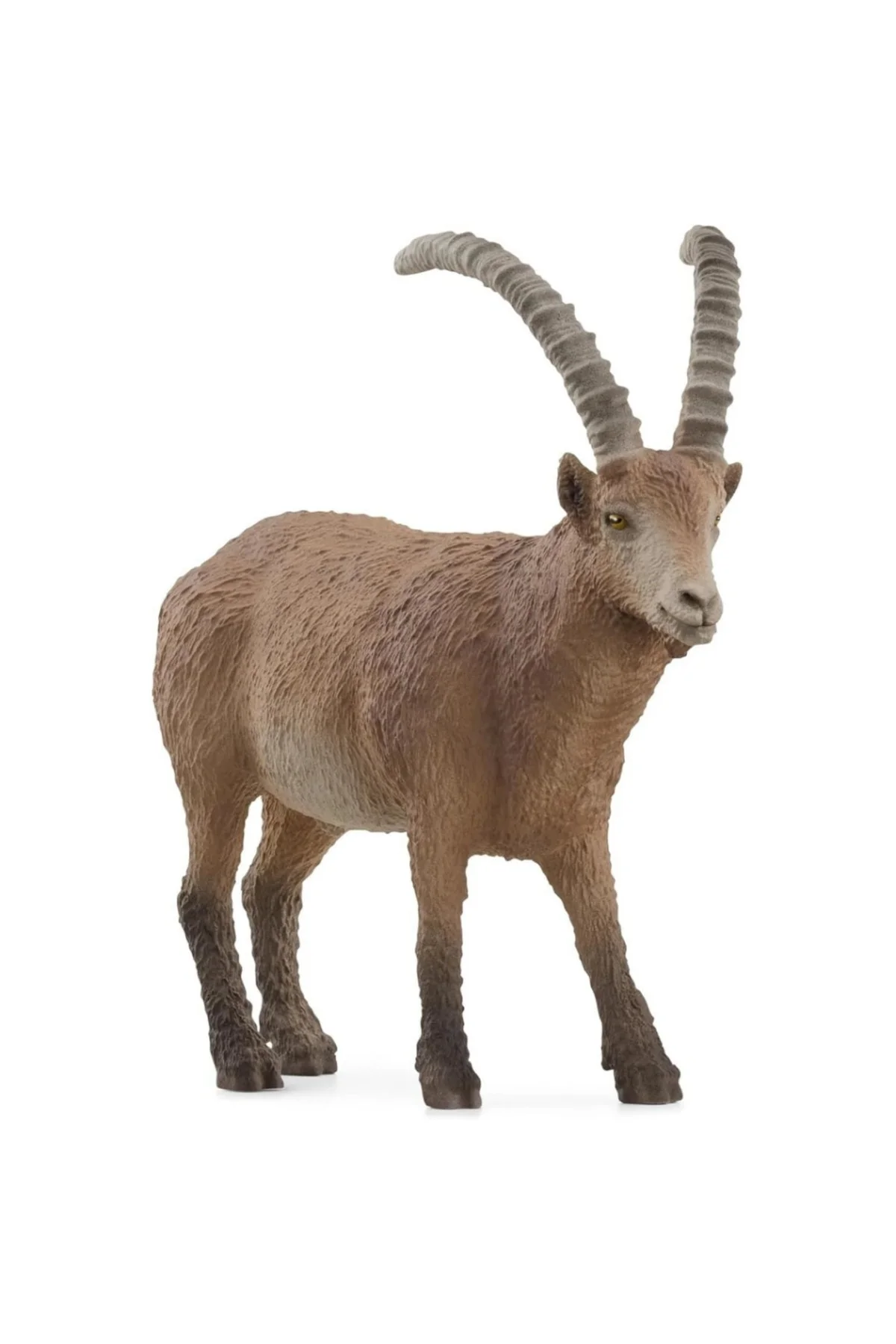 Oğlak