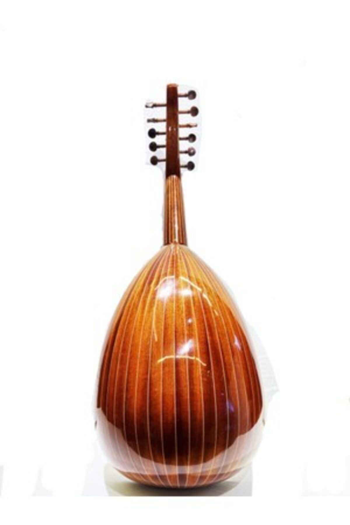 Öğrenci Ud'u Jak Girişli Başlangıç Seviye + Kılıf + Mızrap