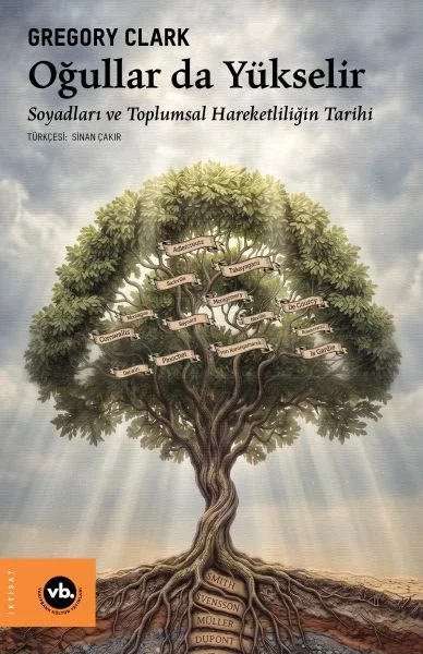 Oğullar da Yükselir Fiyatı, Yorumları ve Özellikleri