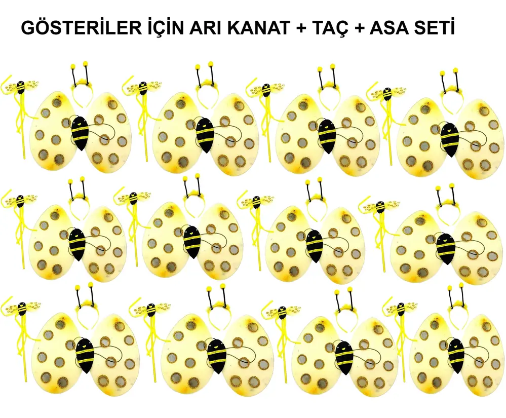 Okul Gösterileri için 12&amp;apos;li Arı Kanadı Seti - Etkinlik K