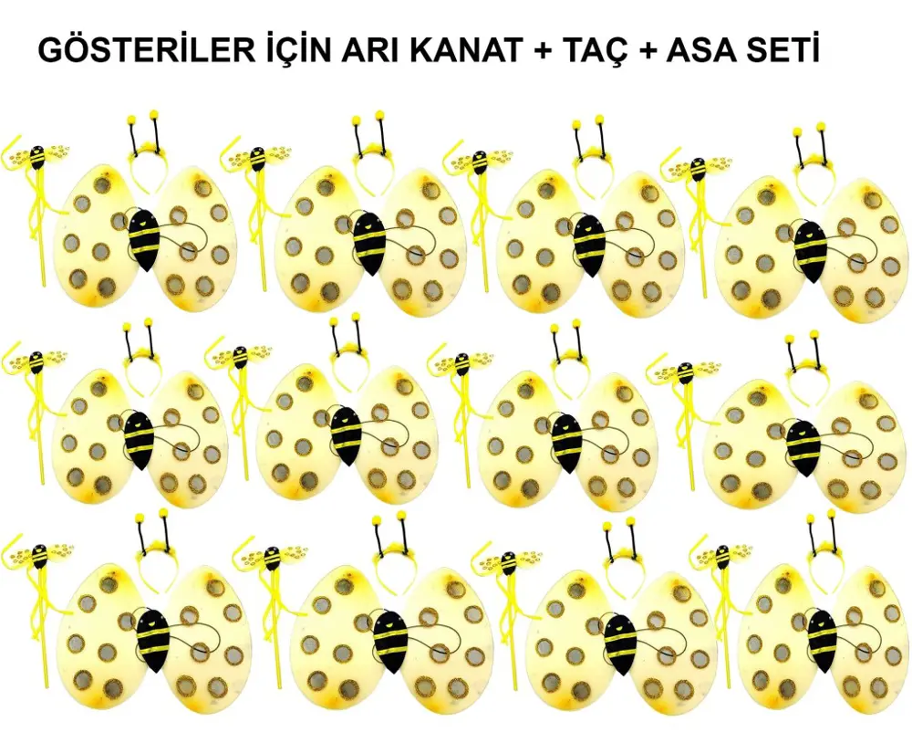 Okul Gösterileri için  Arı Kanadı Seti - Etkinlik Kanatları
