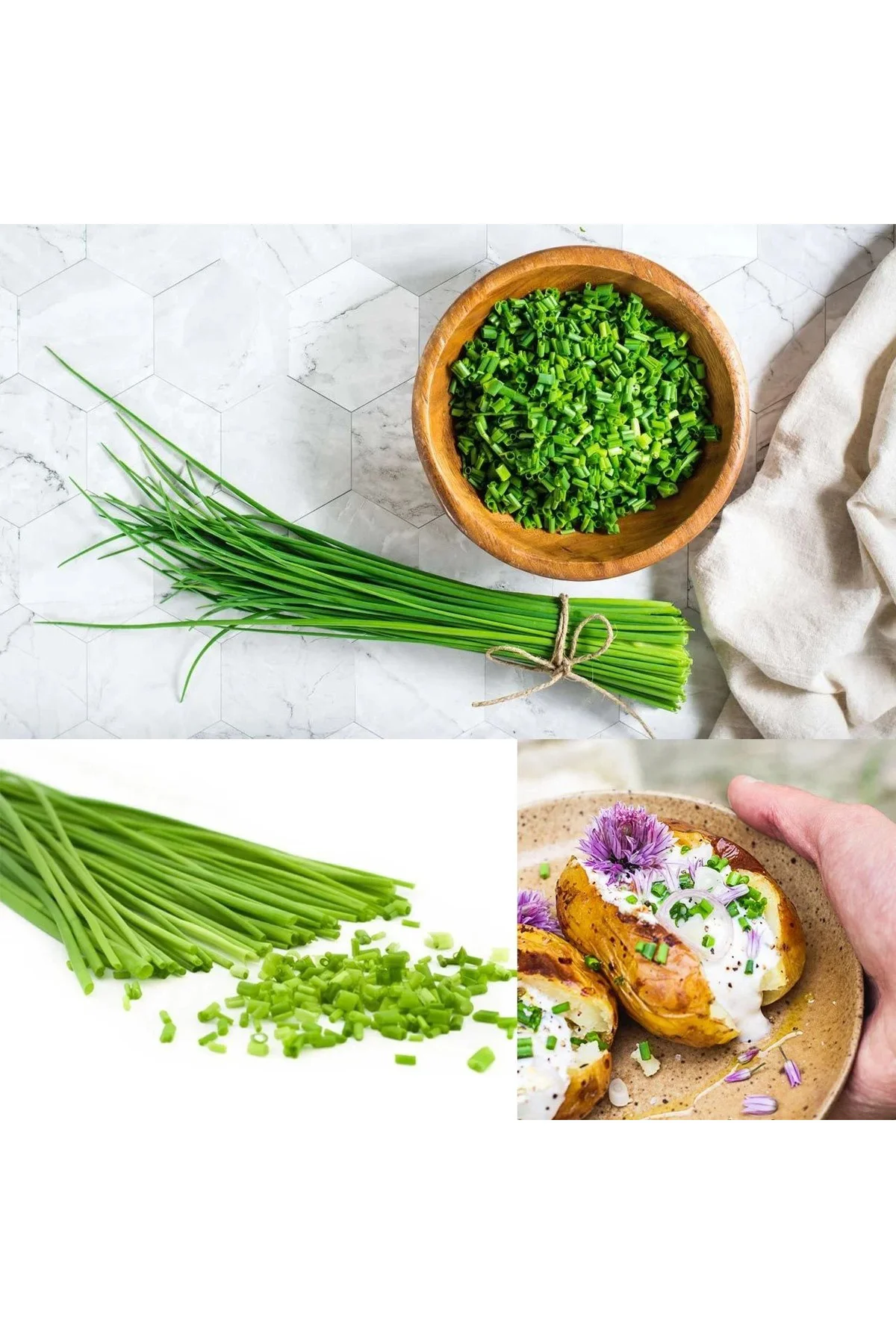 Onion chives Frenk soğanı tohumu soğan otu ince yapraklı Fiyatı, Yorumları ve Özellikleri