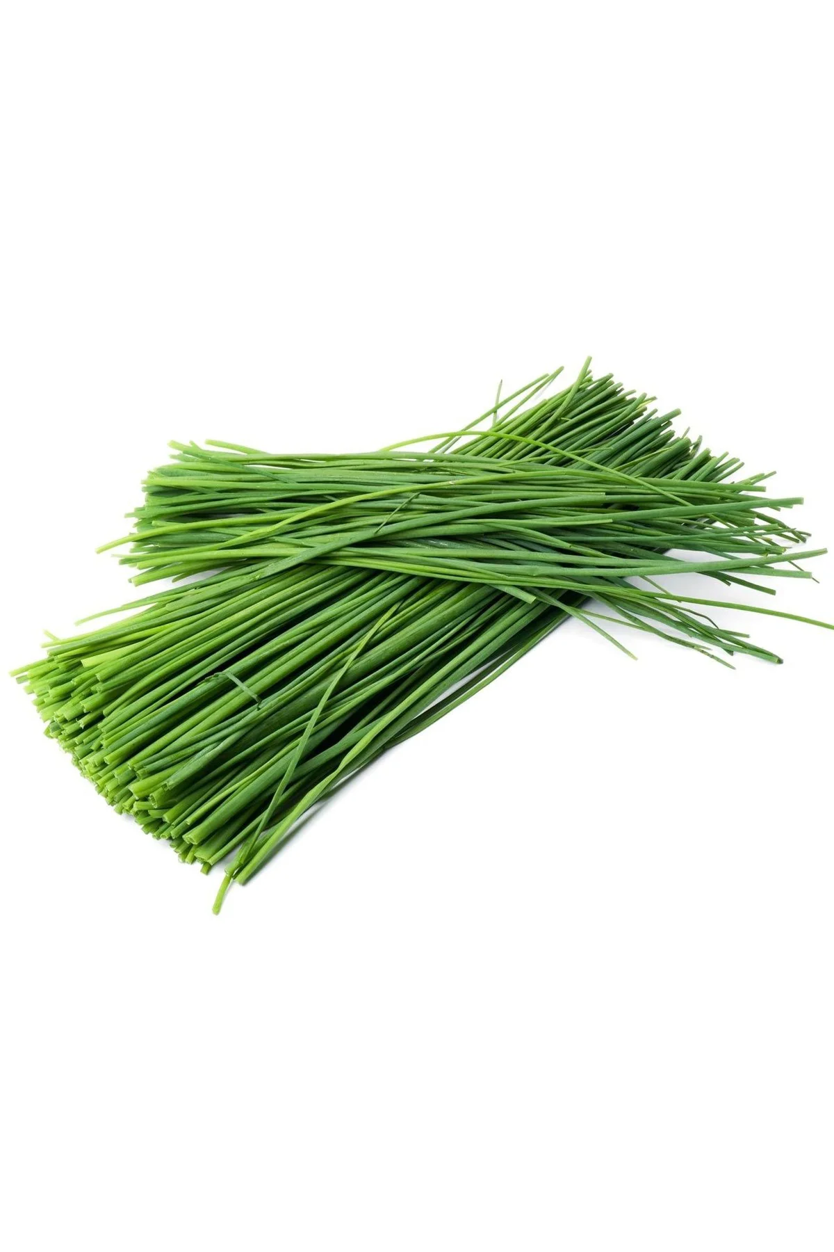 Onion chives Frenk soğanı tohumu soğan otu ince yapraklı Fiyatı, Yorumları ve Özellikleri