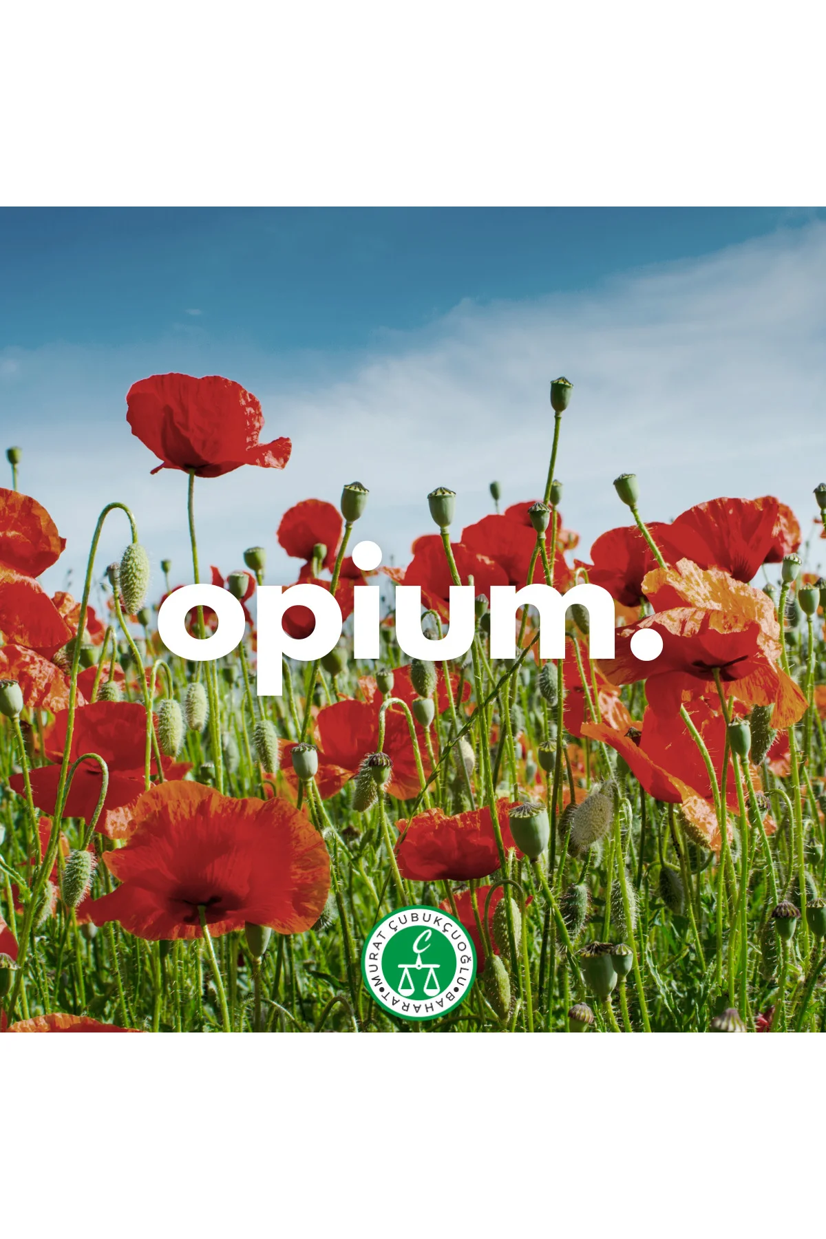 Opium Esansı – Gizemli Ve Çekici Koku Deneyimi - 10 Cc '' Murat Çubukçuoğlu''