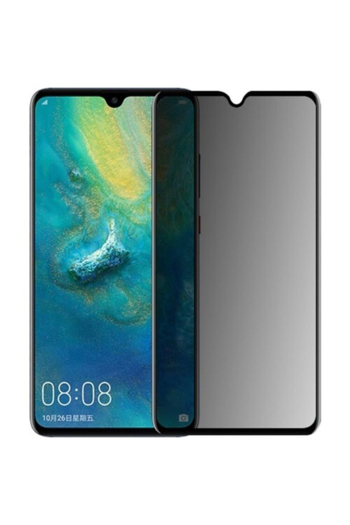 Oppo A9 2020 Siyah Gizlilik Filtreli Privacy Hayalet Ekran Koruyu